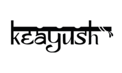 SEO Agency in Mumbai DGmark Agency (8)