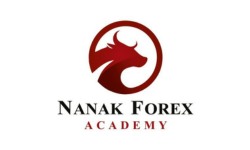 SEO Services in Mumbai DGmark Agency (2)